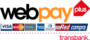 logo-web-pay-plus-300×135