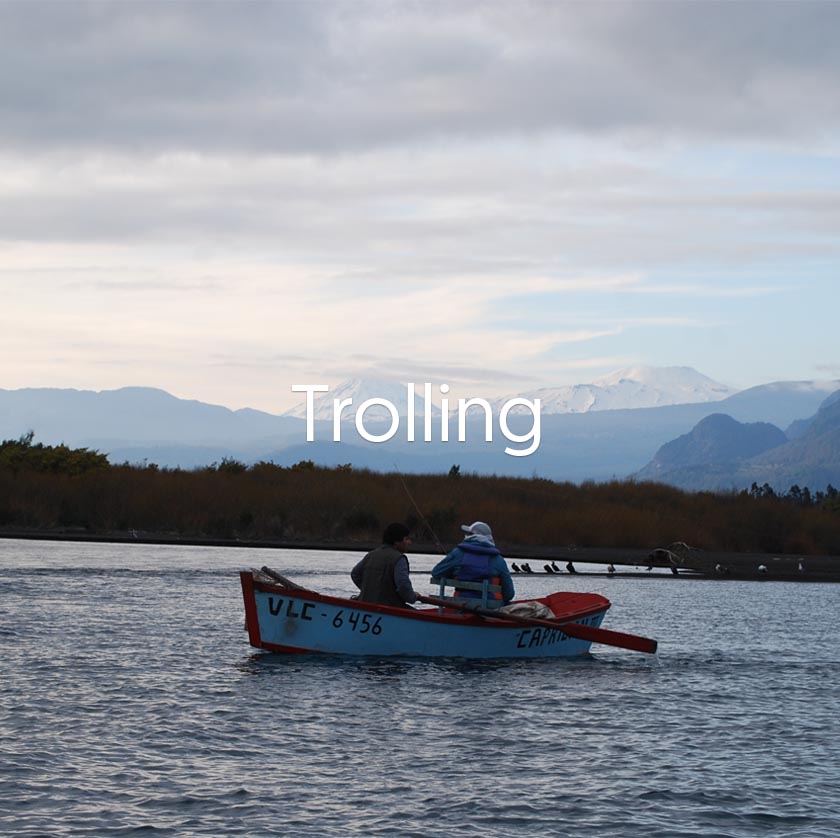 trolling-banner